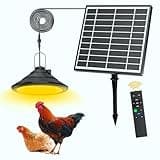 Winter Chicken Care Tips: Stay Cozy and Safe with Solar-Powered Solutions