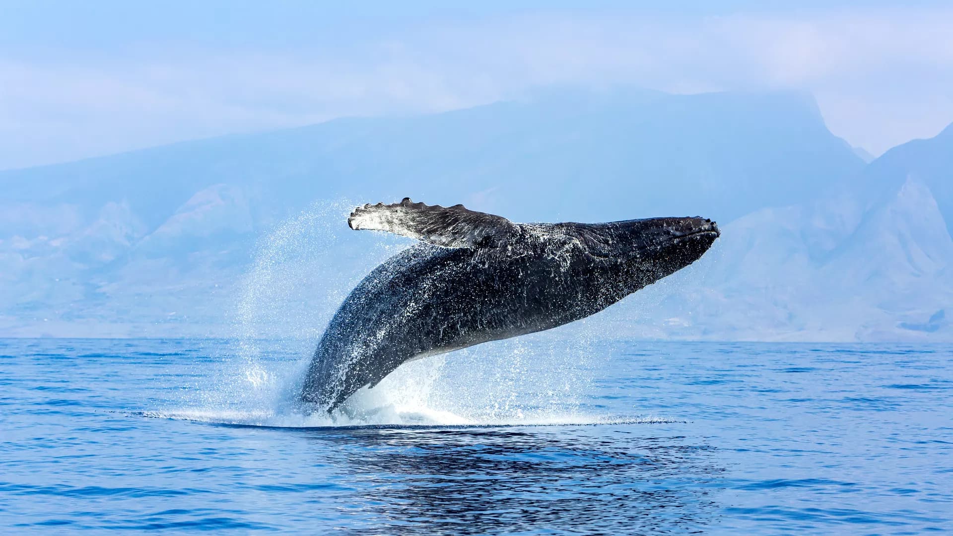 From salt to silicon: industrial evolution and freshwater dependence on China’s Daishan Island