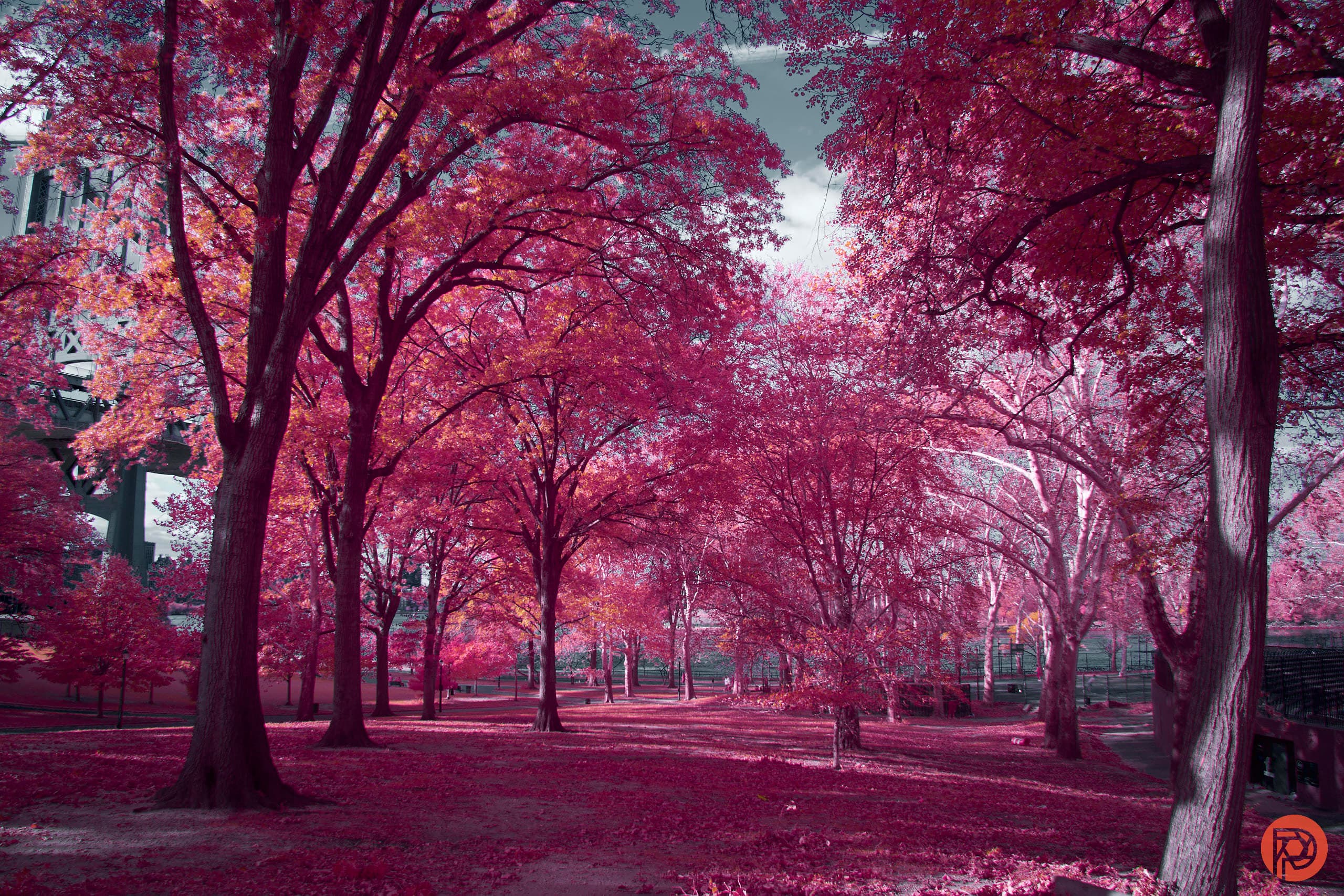 This is Why Your Photos Still Suck in 2026